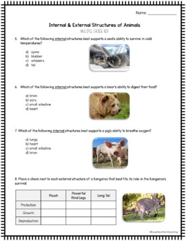 Internal & External Structures of Animals Test and Study Guide DIGITAL AND  PRINT