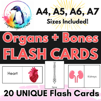 Preview of Internal ORGANS and BONES | Flash Cards | - A4, A5, A6, A7 Sizes INCLUDED!