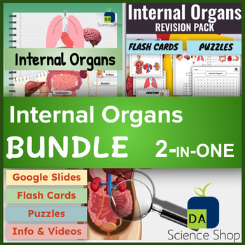 Preview of Internal Organs BUNDLE