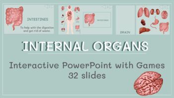 Preview of Internal Organs Interactive PowerPoint Presentation with Games (32 slides)