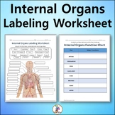 Internal Organs Labeling & Functions Worksheet - Science |