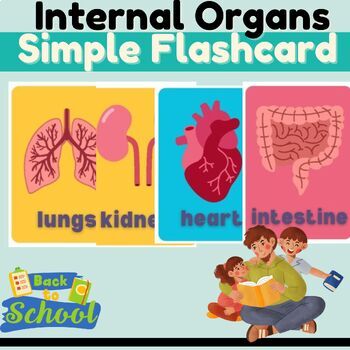 Preview of Internal Organs Simple Flashcard for kids