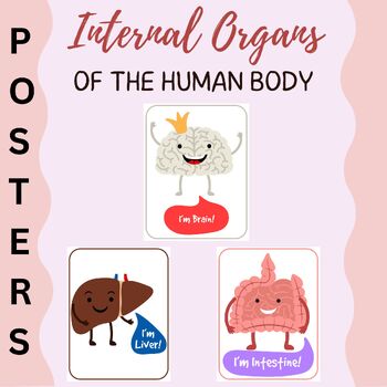 Preview of Internal Organs of the Human Body Posters Body Organs Parts Flashcards For Kids