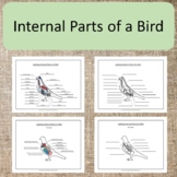 Internal Parts of a Bird Elementary Montessori zoology Sci