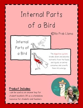 Preview of Internal Parts of a Bird Info Booklet- Aves Anatomy- Montessori Zoology