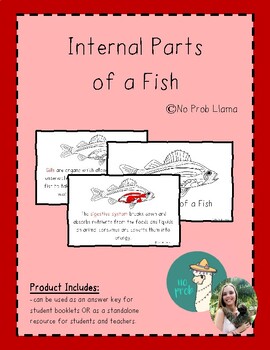 Preview of Internal Parts of a Fish Info Booklet- Fish Anatomy- Montessori Zoology