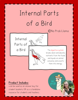 Preview of Internal Parts of a Bird Work Booklet- Aves Anatomy- Montessori Zoology