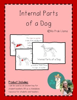 Preview of Internal Parts of a Dog Info Booklet- Mammal Anatomy- Montessori Zoology