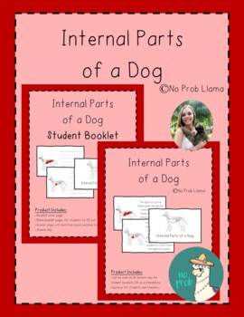 Preview of Internal Parts of a Dog Work Booklet- Mammal Anatomy- Montessori Zoology