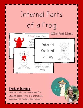 Preview of Internal Parts of a Frog Info Booklet- Amphibian Anatomy- Montessori Zoology