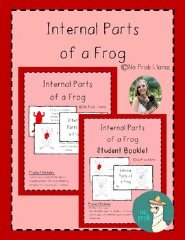 Preview of Internal Parts of a Frog Work Booklet- Amphibian Anatomy- Montessori Zoology
