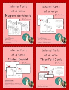 Preview of Internal Parts of a Horse BUNDLE- Mammal Anatomy- Montessori Zoology