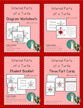 Preview of Internal Parts of a Turtle BUNDLE- Reptile Anatomy- Montessori Zoology