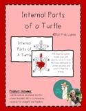 Internal Parts of a Turtle Info Booklet- Reptile Anatomy- 