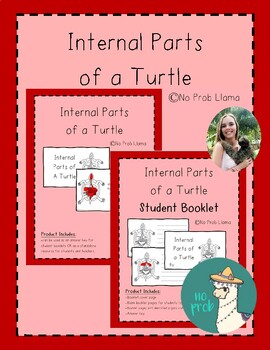 Preview of Internal Parts of a Turtle Work Booklet- Reptile Anatomy- Montessori Zoology