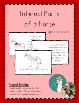 Preview of Internal Parts of a Horse Info Booklet- Mammal Anatomy- Montessori Zoology