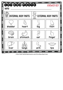 Body Parts Sorts (Internal vs External) | Cut and Paste Worksheets