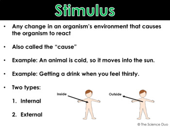 stimulus science examples