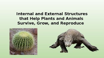 Structure And Function Of External And Internal Structures Of Animals  Teaching Resources | TPT
