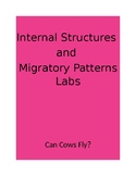 Internal structures and migration labs
