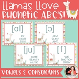 International Phonetic Alphabet Posters: Llamas {Music Cla