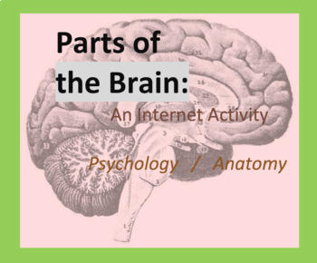 Preview of Internet Activity, Parts of the Brain Intro, Psychology, 3D Anatomy, Worksheet