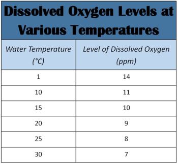 Preview of Interpreting Graphs: Dissolved Oxygen Levels at Various Temperatures Graphics