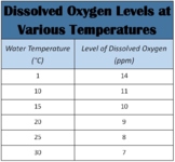 Interpreting Graphs: Dissolved Oxygen Levels at Various Te