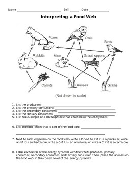 Interpreting a Food Web Worksheet by Must Teach Middle | TPT