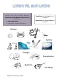 Intertidal Zone - Identifying Abiotic and Biotic Factors