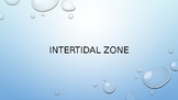 Intertidal Zones of the Marine Biome PPT Presentation