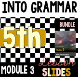 Into Reading Grammar Lesson Slides - Fifth Grade - Module 