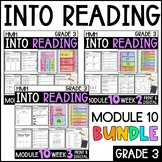 Into Reading HMH 3rd Grade: Module 10 Supplemental BUNDLE 