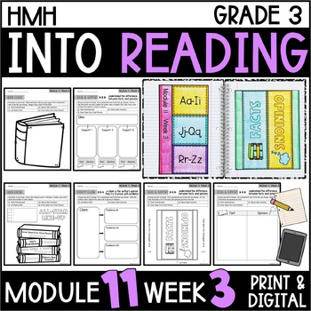 Preview of Into Reading HMH 3rd Grade Module 11 Week 3 Review Week Supplements • GOOGLE