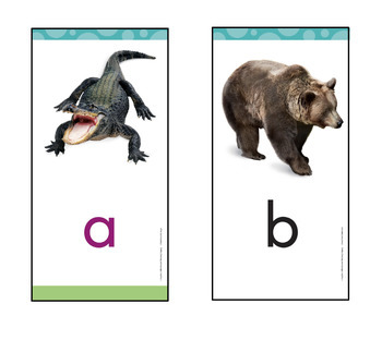 Preview of Into Reading Sound/Spelling Cards First Grade
