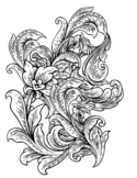 Intricate flower coloring page