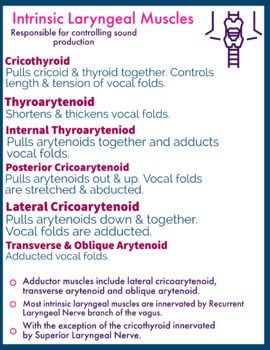 Preview of Intrinsic Laryngeal Muscles