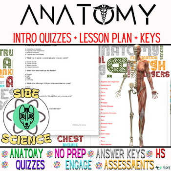 Preview of Intro Anatomy And Physiology Quiz|Study Guides|Lesson Plans|Worksheets|& More