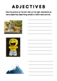 Intro to Adjectives - Brainstorm Worksheet