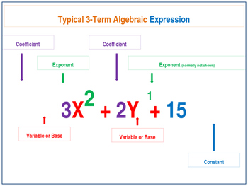Preview of Intro to Algebraic Expressions, The Distributive Property & Combining Like Terms