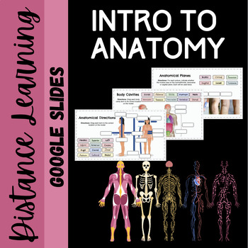 Preview of Intro to Anatomy: Distance Learning Activity