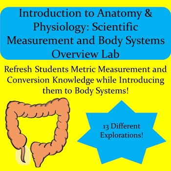 Preview of Intro to Anatomy & Physiology: Measurement & Body Systems Overview Lab