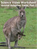 Intro to Animal Adaptive Traits, Part 2. Video sheet, Canv