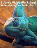 Intro to Animal Adaptive Traits, part 1. Video sheet, Canv