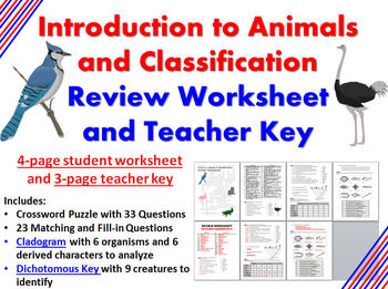 Preview of Intro to Animals and Classification Review Worksheet and Teacher Key