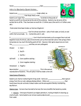 Preview of Intro to Bacteria Open Notes, Worksheet, KEYS