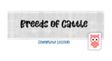 Introduction to Cattle Breeds Complete Lesson Plan- 5 Docu