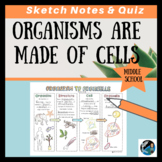 Organisms are Made of Cells - Living Things Science Sketch