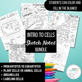Intro to Cells Sketch Notes / Doodle Notes Bundle