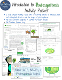 Intro to Cellular Energy, Photosynthesis, and Leaf Structure - 9 Activity Packet